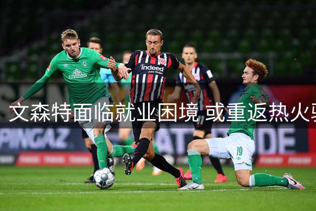 文森特面临就业困境 或重返热火骑士成潜在选择